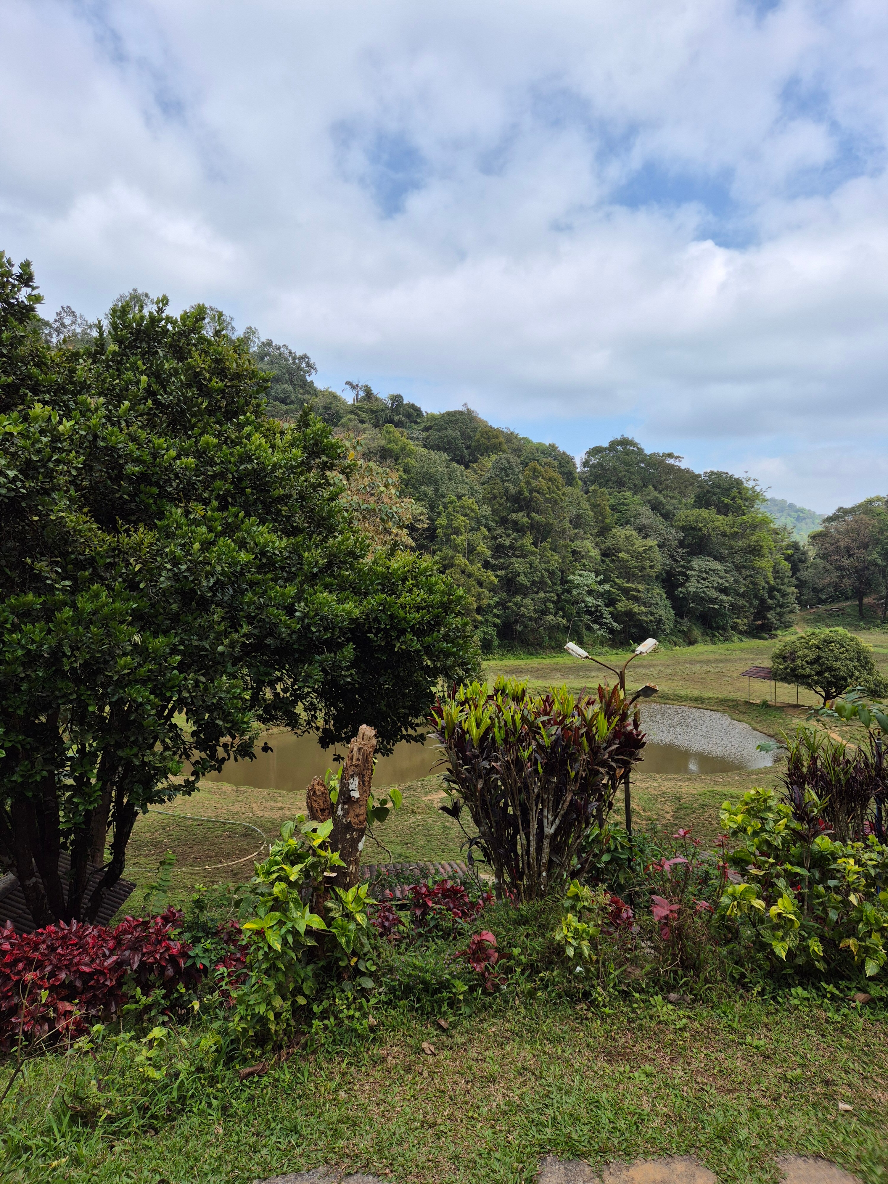 Three Hills Coorg-官方