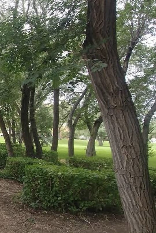 Kiwanis Waterfall Park-里贾纳必去景点