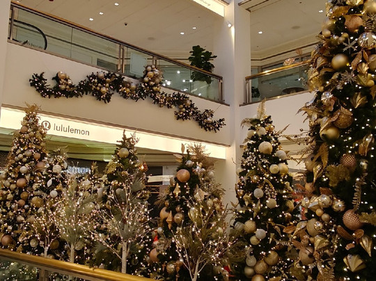 900 North Michigan Shops-芝加哥必去景点