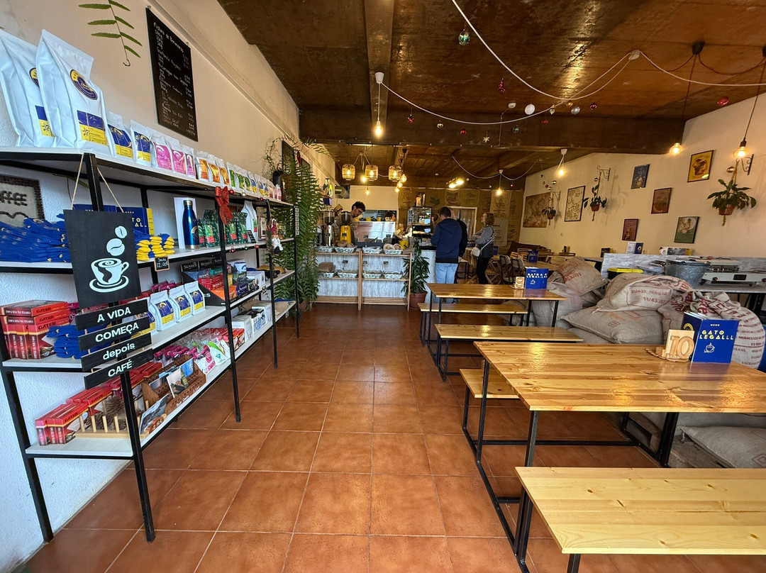 Gato Legal Ponta Do Pargo Madeira