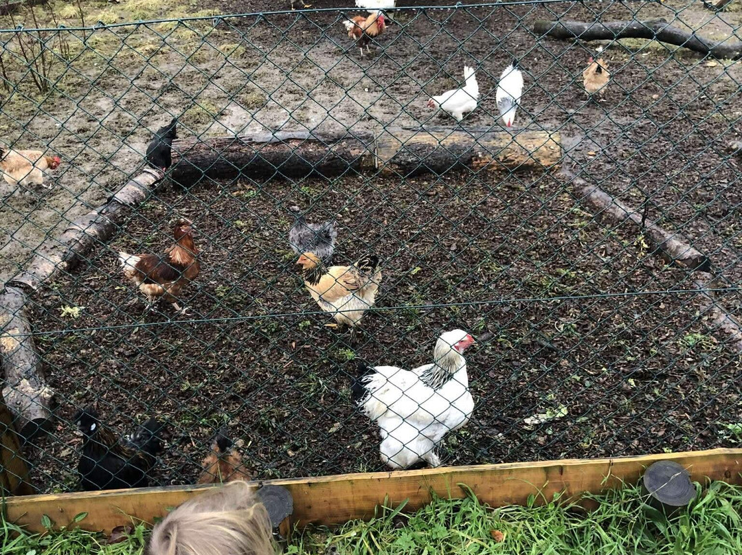 Quince Honey Farm-South Molton必去景点