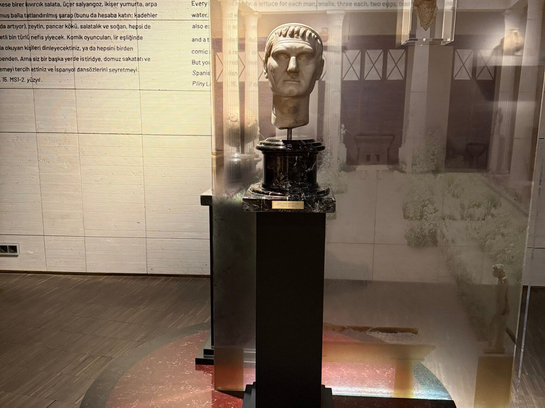 Erimtan Arkeoloji ve Sanat Müzesi-安卡拉必去景点