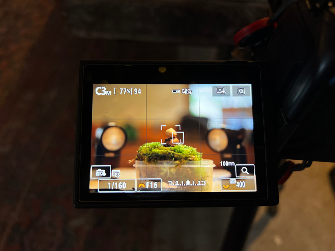 Hepple Wilds Estate-Rothbury必去景点