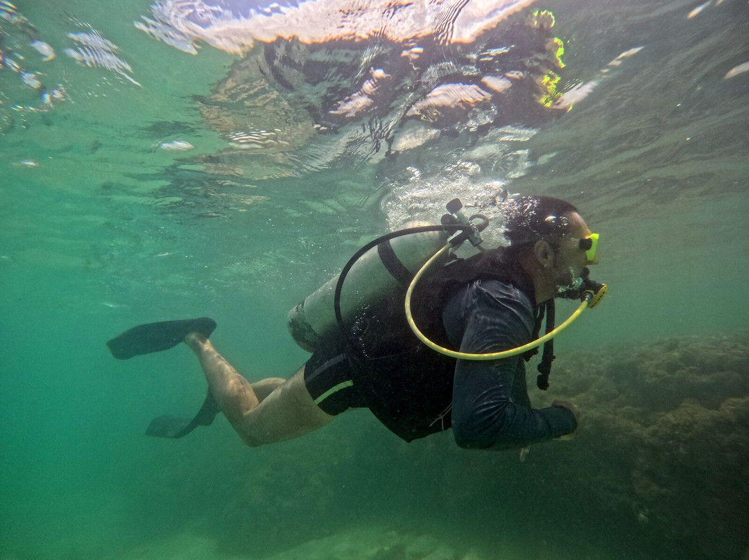 Milagres Mergulho-Sao Miguel dos Milagres必去景点
