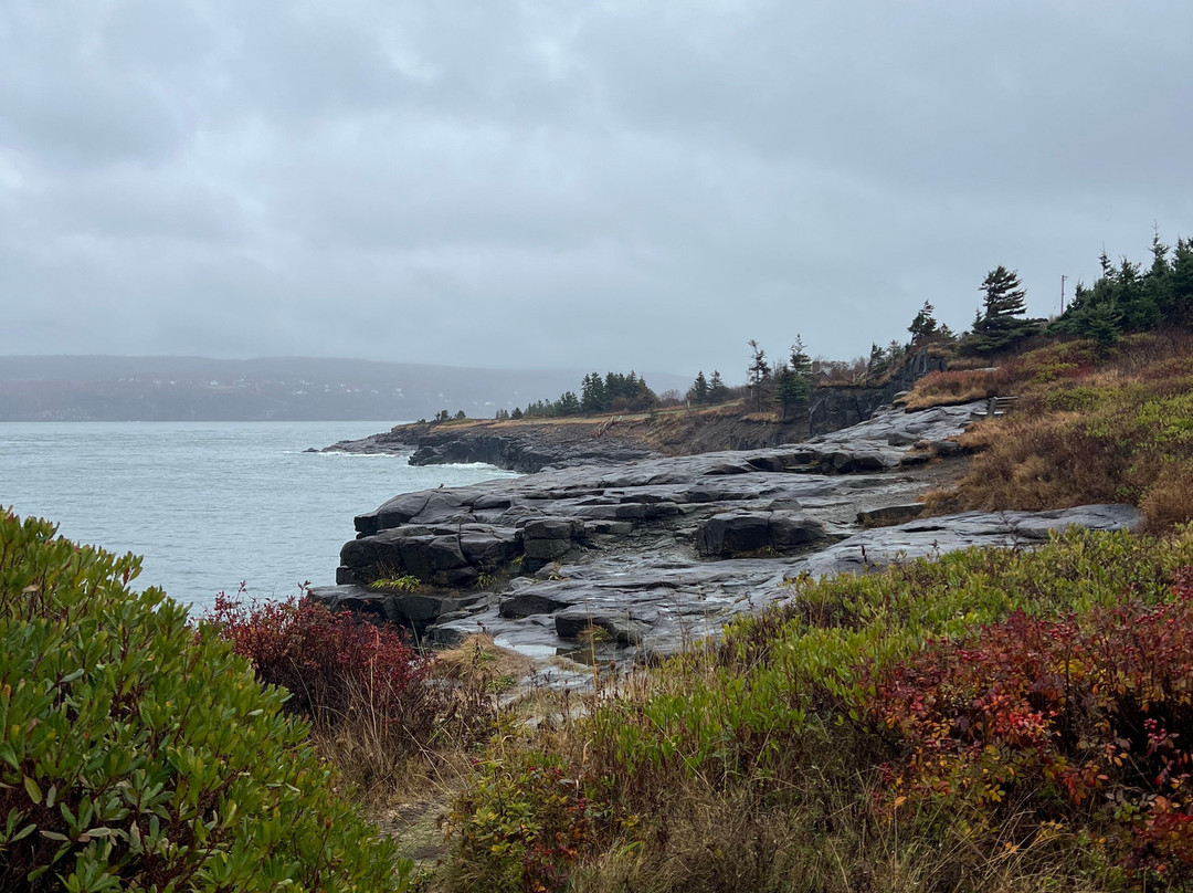 Prim Point Lighthouse-Digby必去景点