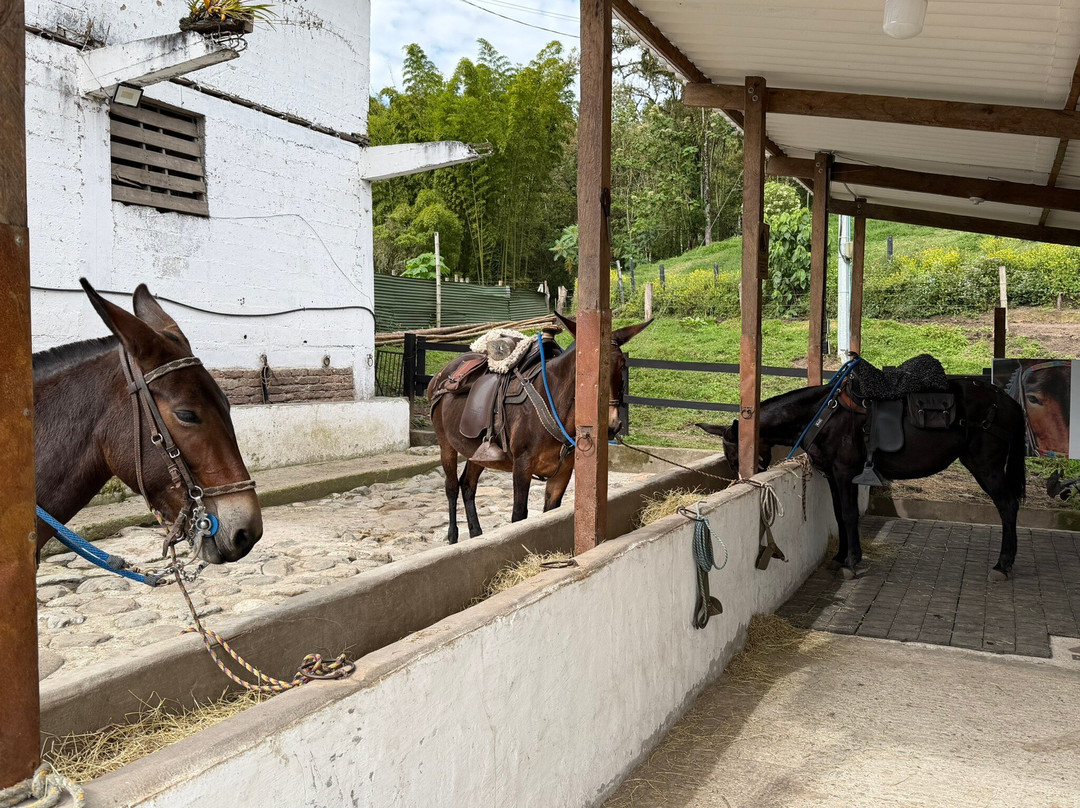 LA JUANA COLOMBIA-Neira必去景点