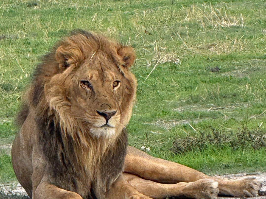 Gondwana Tours & Safaris-马翁必去景点