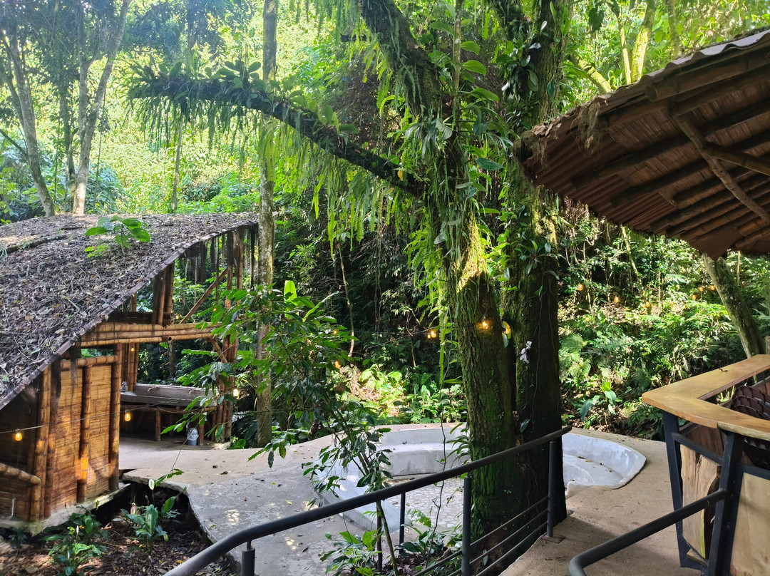 Cerro Tusa Springs主图