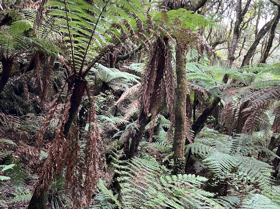 Samaipata Tours Turismo & Artesania-Samaipata必去景点
