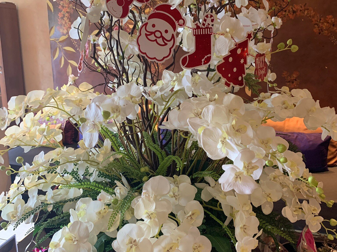 布拉莎丽水疗-芭东海滩必去景点