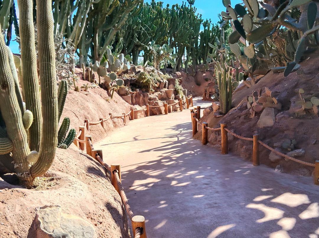 Crocoparc-阿加迪尔必去景点