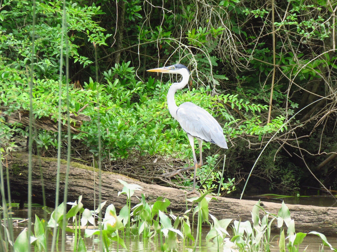 Delta Unplugged-蒂格雷必去景点