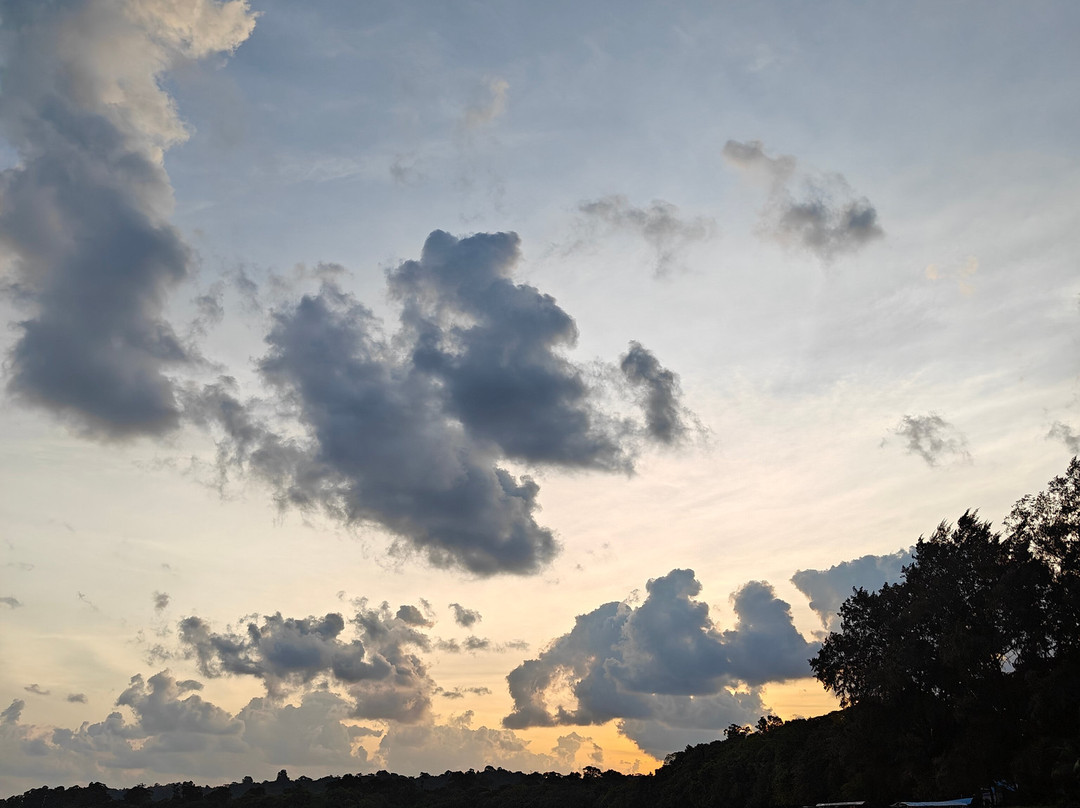 Dive Tribe-Neil Island必去景点