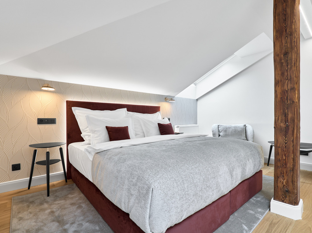 Villa Patriot  Boutique Hotel主图