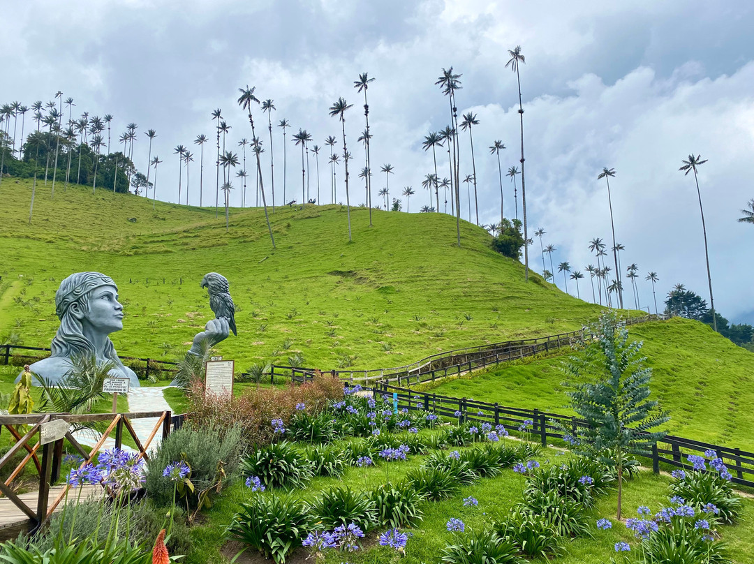 Cocora Trek Salento-萨伦托必去景点