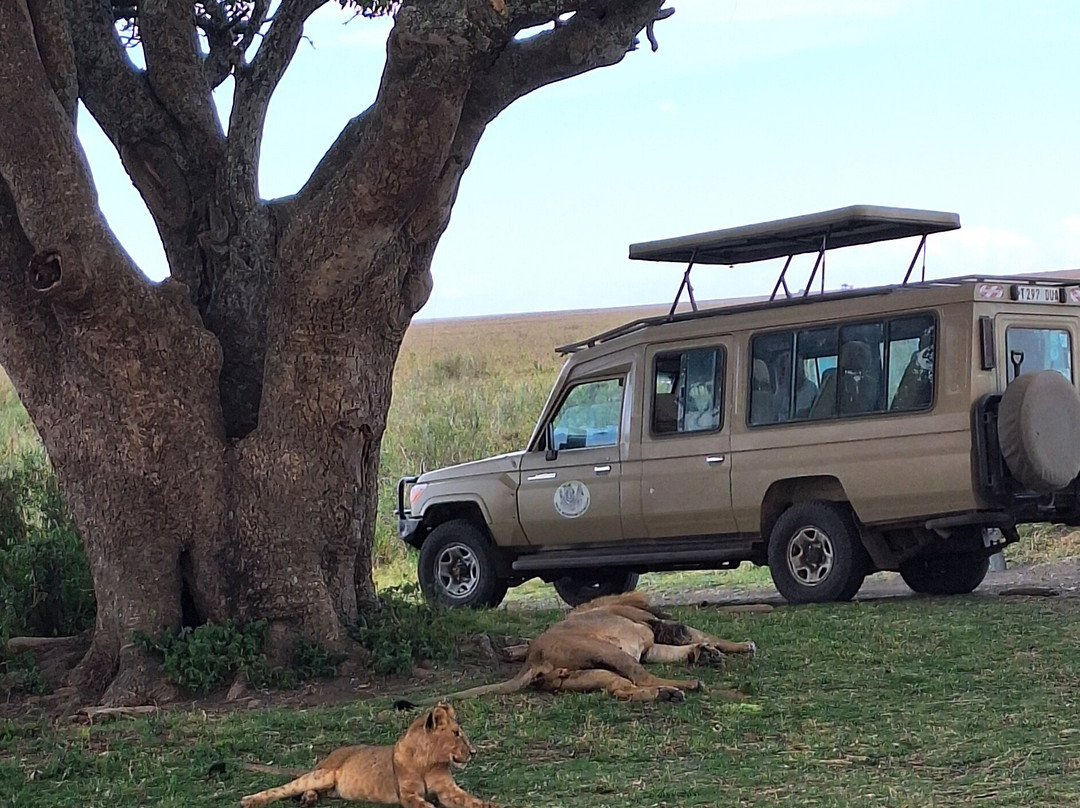 Tanzania Specialist-阿鲁沙必去景点