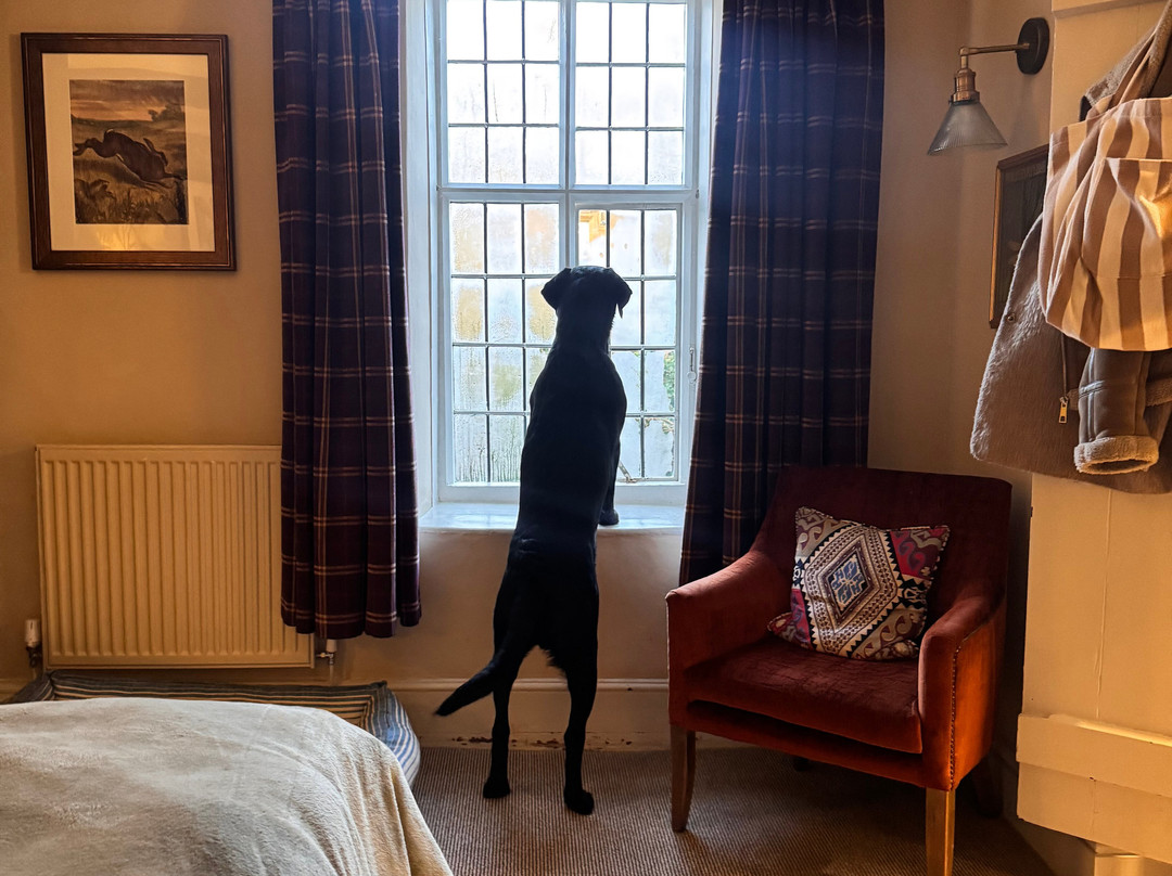 The Falkland Arms主图