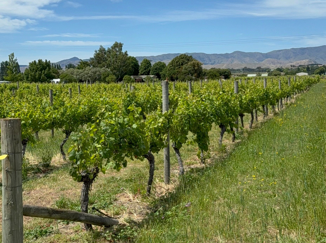 Bladen Wines-伦威克必去景点