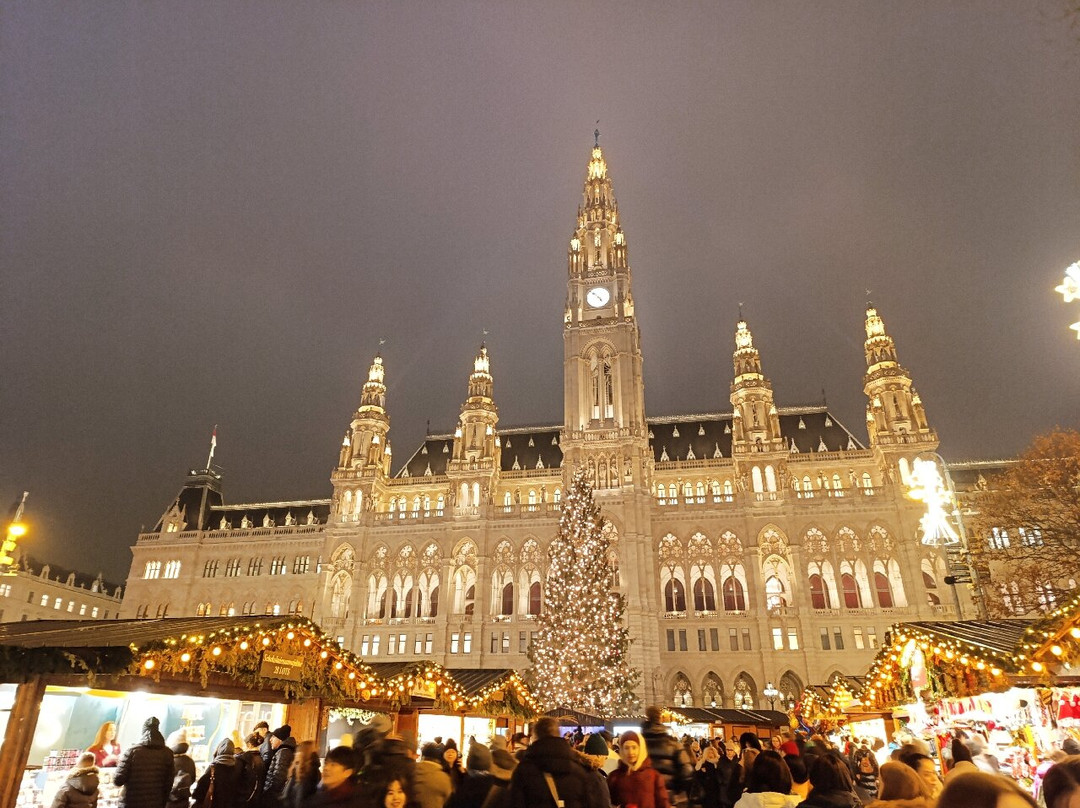 Wiener Christkindlmarkt-维也纳必去景点