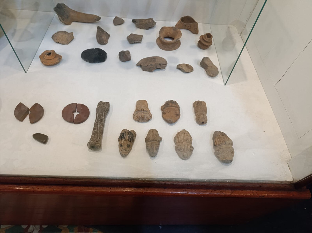 Museum of Indigenous Amazonian Cultures-伊基托斯必去景点