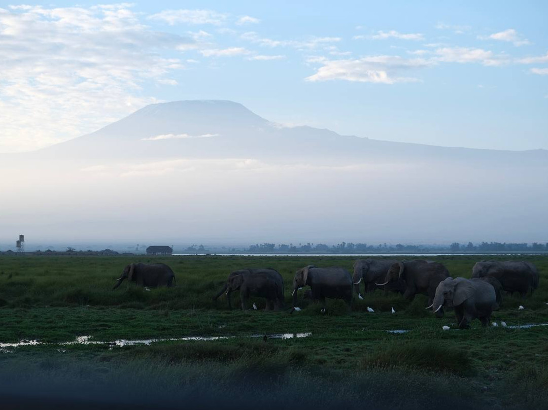 Mufasa Tours and Travels-内罗毕必去景点