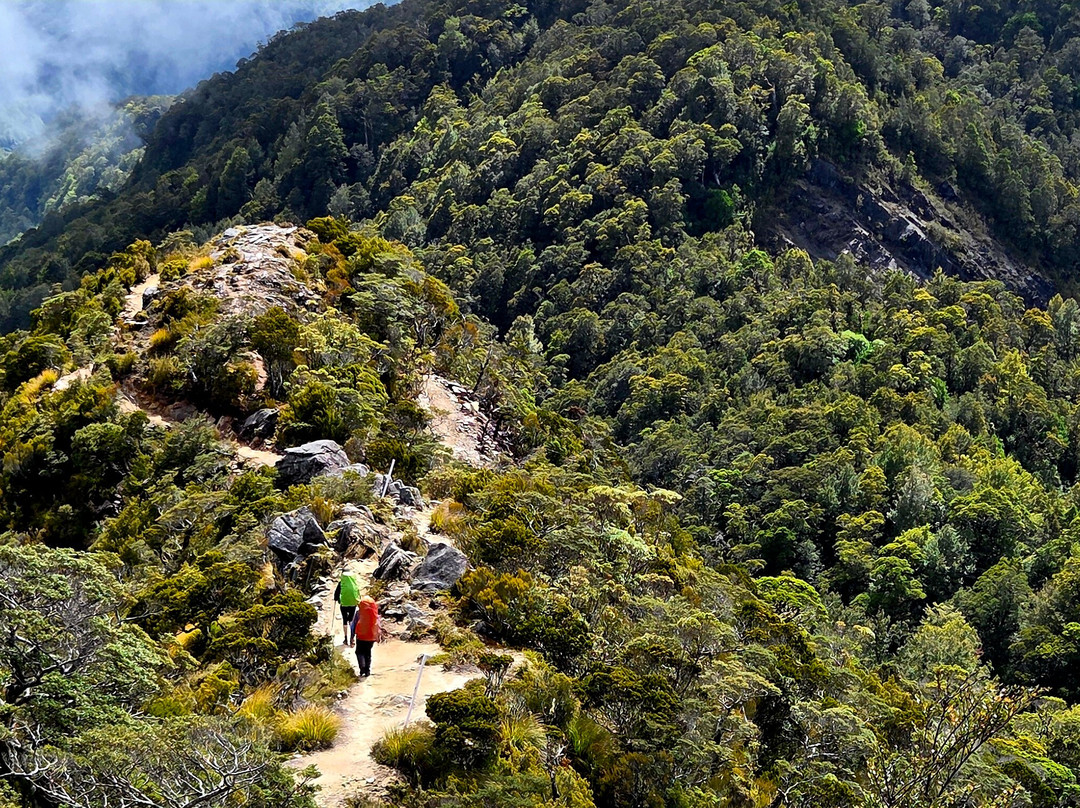 The Old Ghost Road-韦斯特波特必去景点