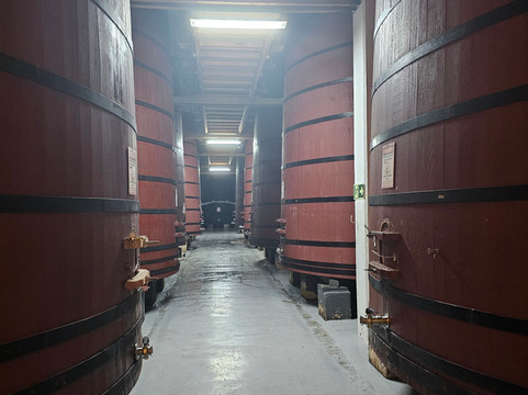 GNB Turismo-卡内拉必去景点