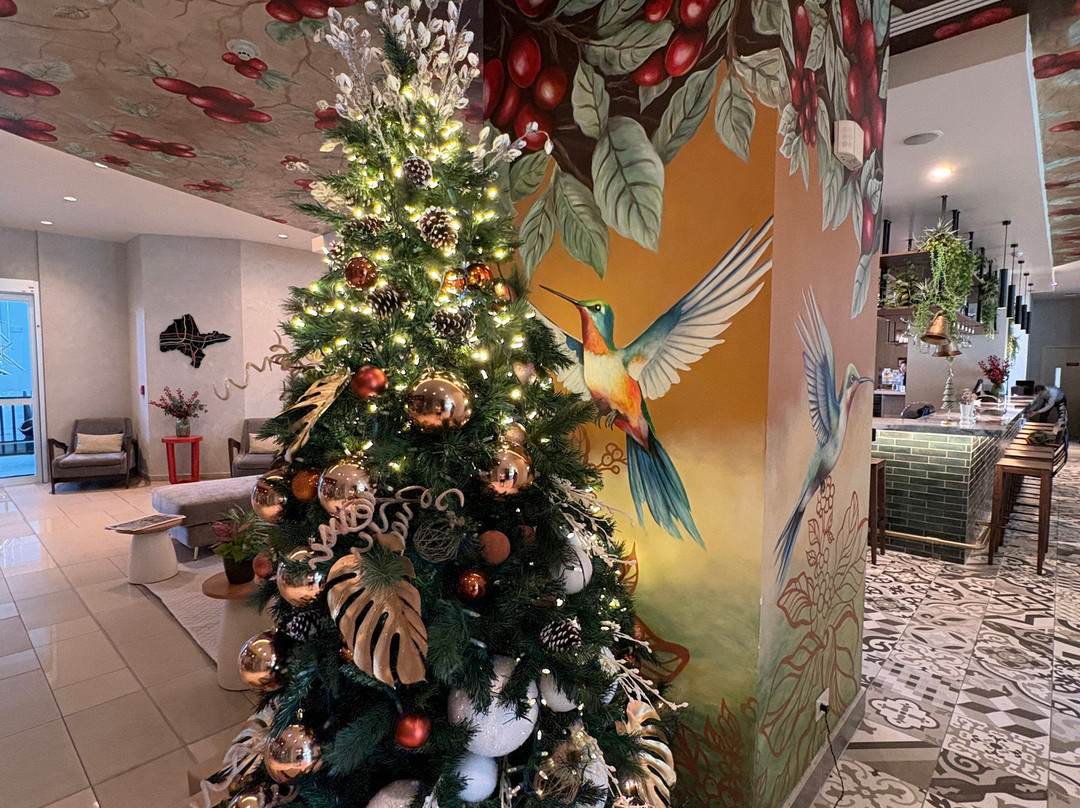 圣何塞皮纳雷斯凯悦广场酒店主图