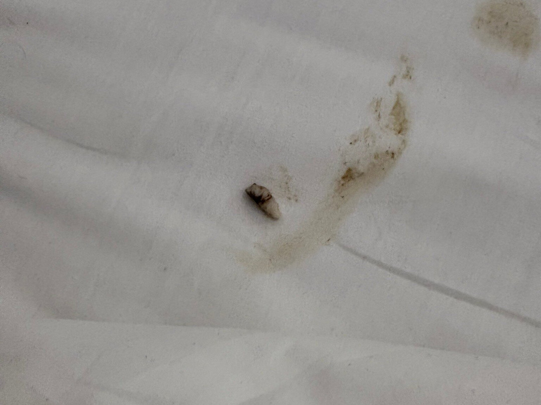 阿尔卡酒店主图