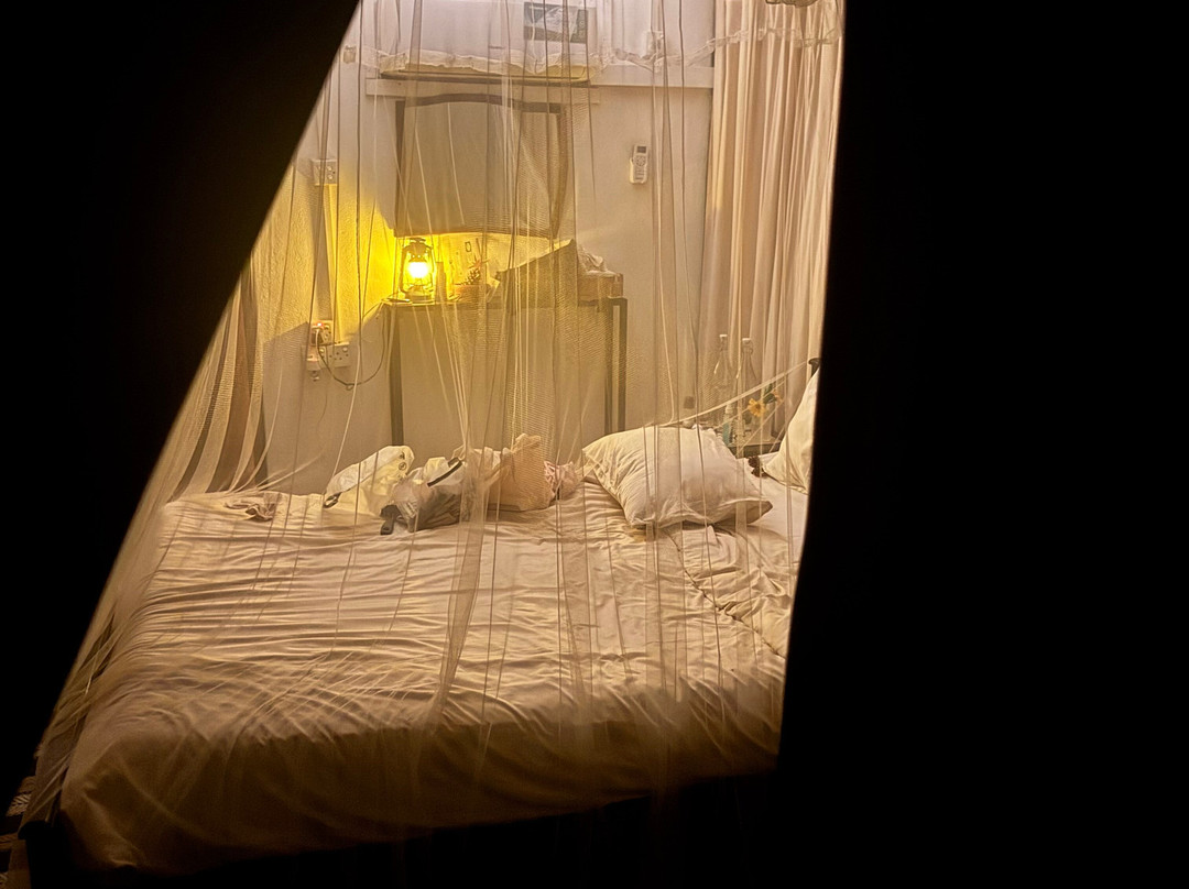 Camp Leopard - Yala Safari Glamping主图