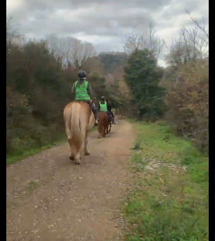 Stefi's Equestrian Tours-Karitena必去景点