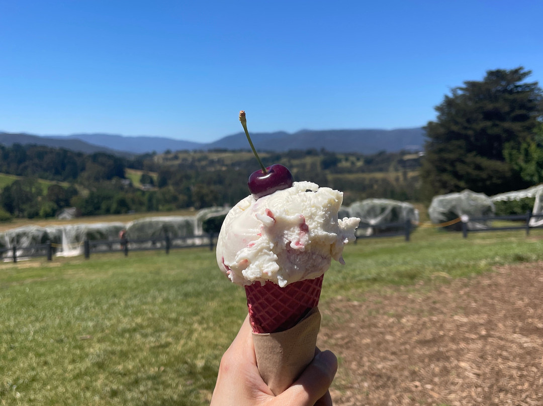 Cherryhill Orchards-Wandin East必去景点