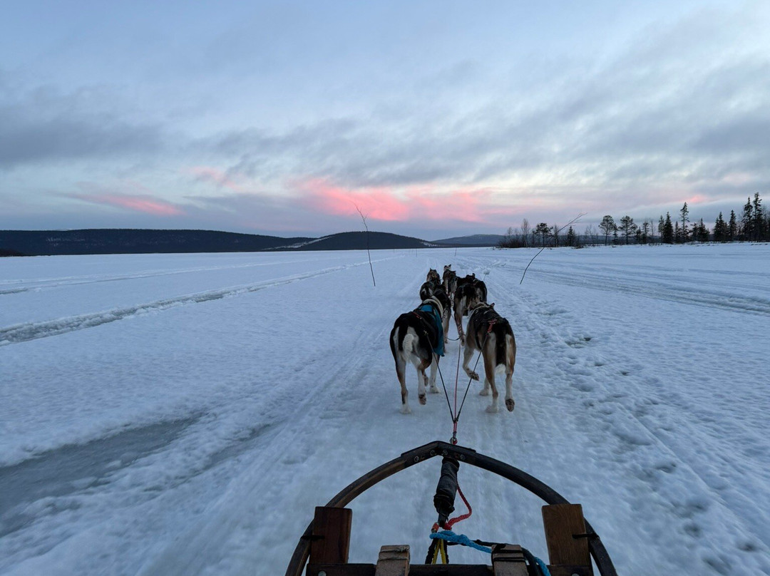Bohemian Lucky Bastards-Jukkasjarvi必去景点