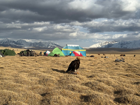 Horse Treks Mongolia-乌兰巴托必去景点