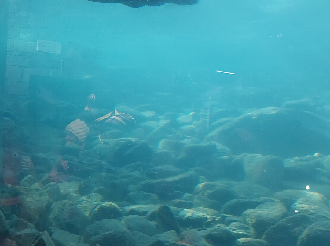 Centro Visitatori Acqua e Biodiversità-Rovenaud必去景点