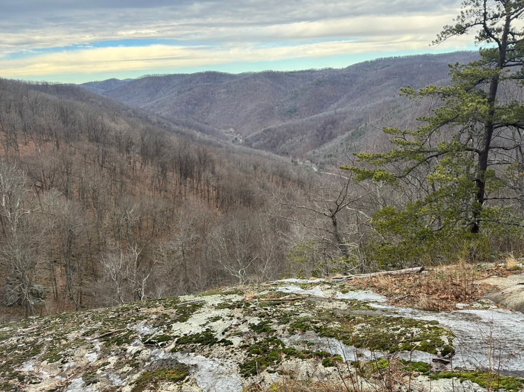 Sugar Tree Inn主图