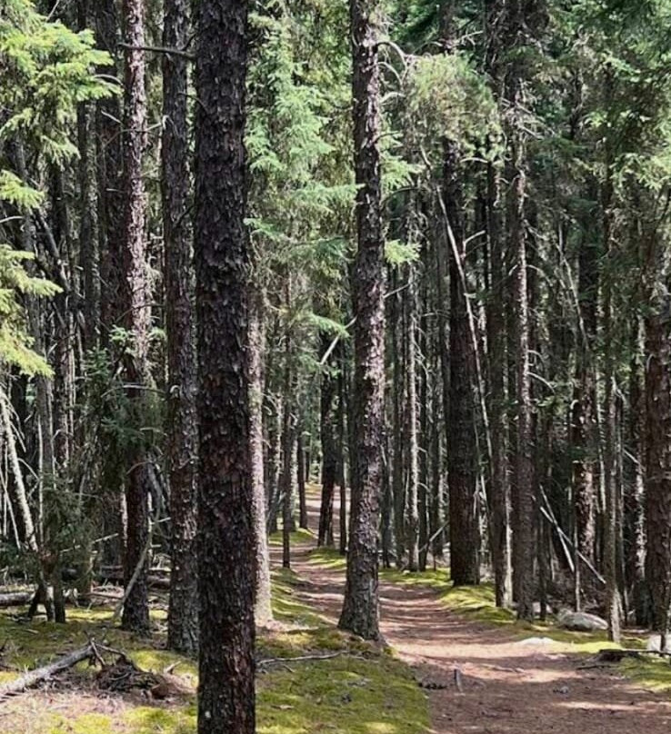 Prince Albert National Park-Waskesiu Lake必去景点