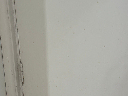 Holiday Inn Glasgow - East Kilbride by IHG主图