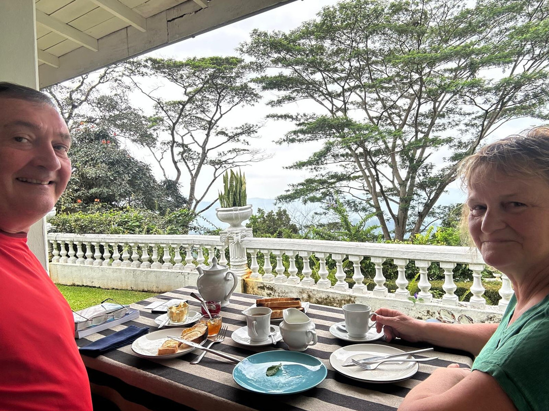 Ashburnham Estate主图