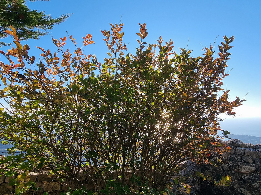 Chateau Et Jardin Medieval-Sainte-Agnes必去景点