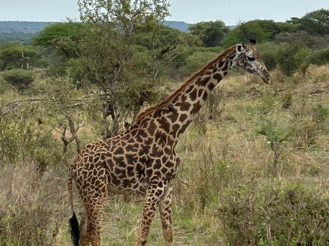 Earthlife Expeditions-阿鲁沙必去景点