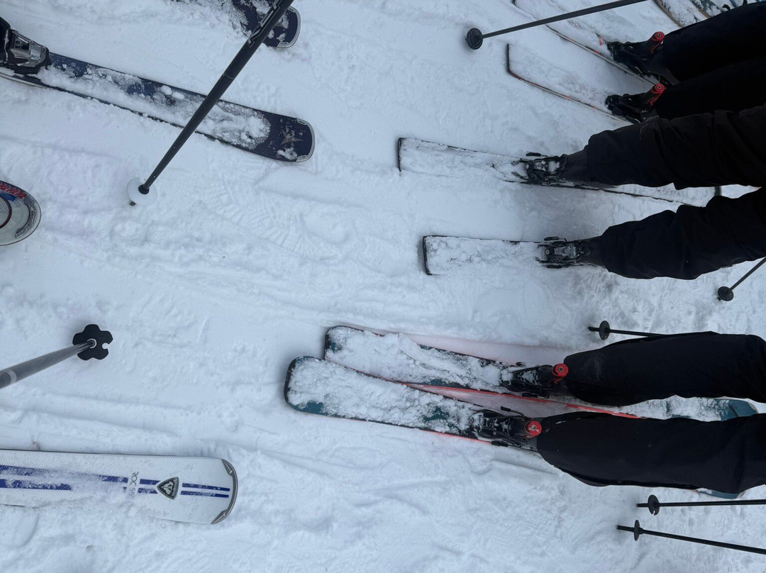 Le Massif de Charlevoix-Petite-Riviere-Saint-Francois必去景点