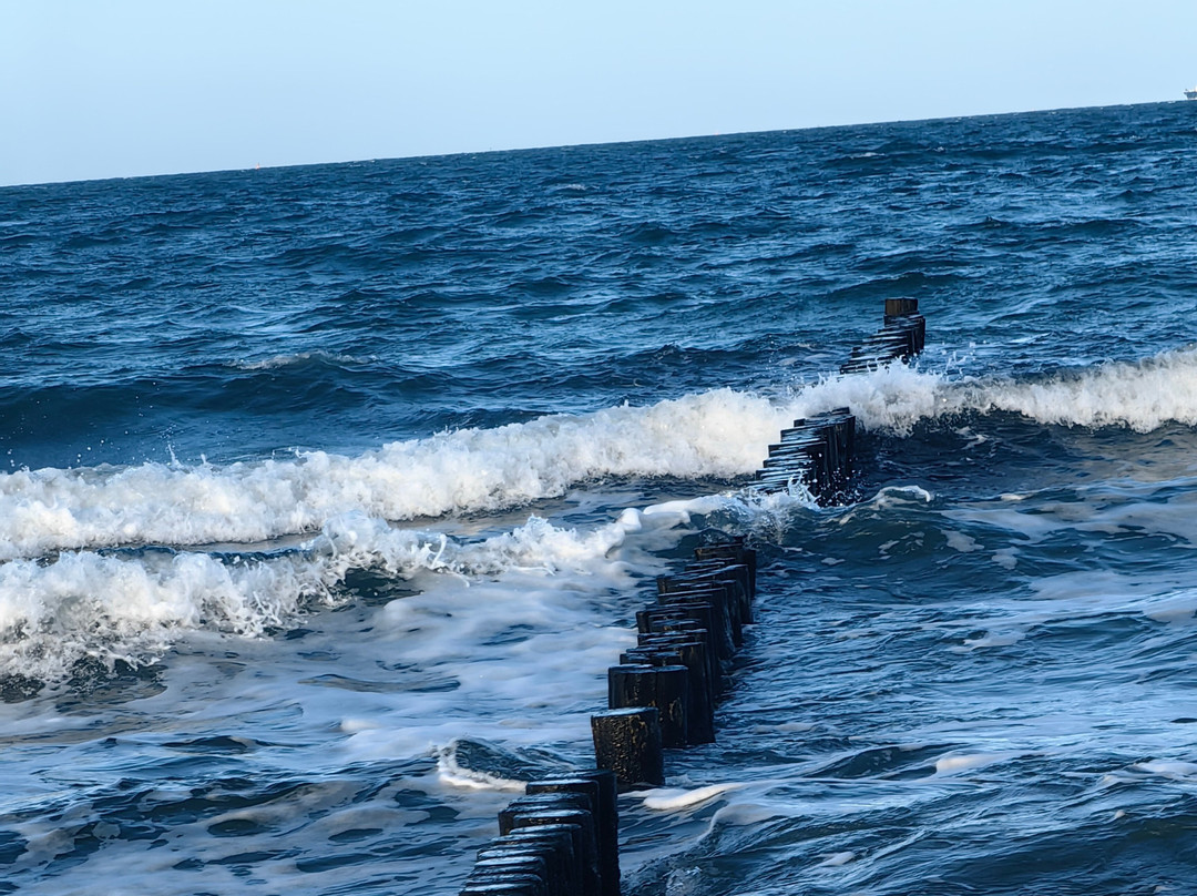 Hotel Godewind主图