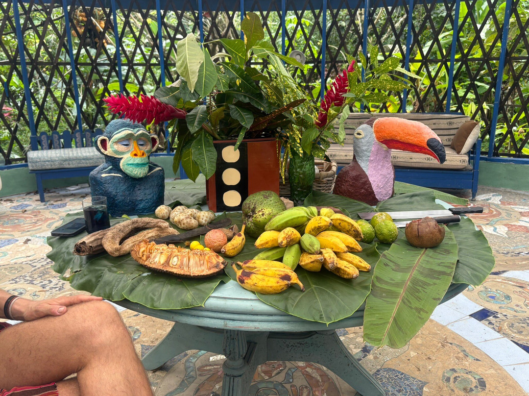 Finca Flora-Bocas del Toro必去景点