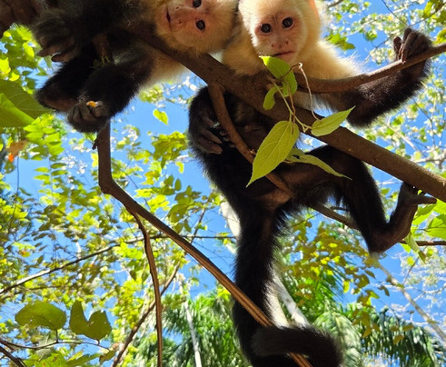 Mango's Adventures-艾拉杜拉必去景点