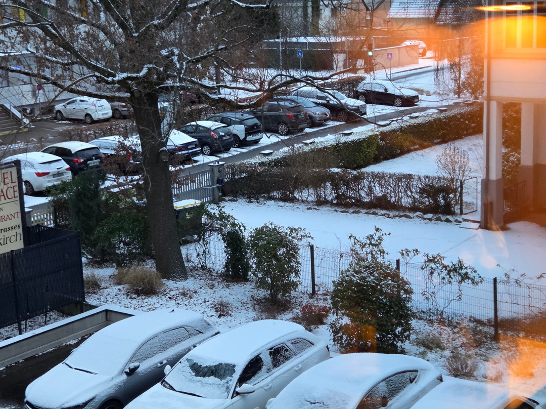 Hotel D'Alsace主图