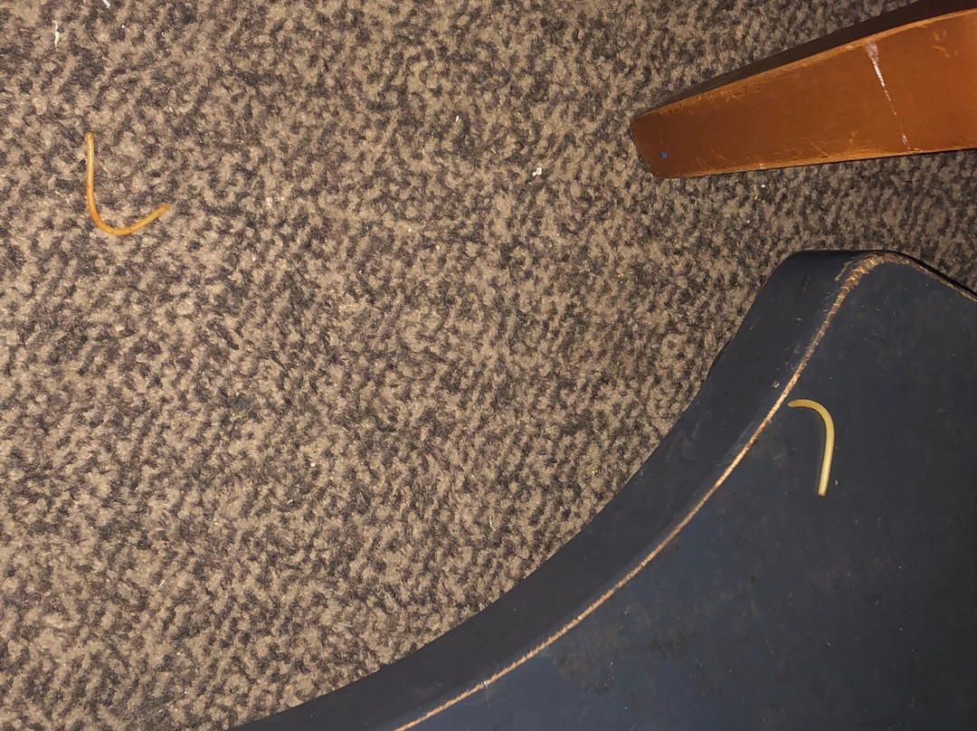 Premier Inn Frome Hotel主图