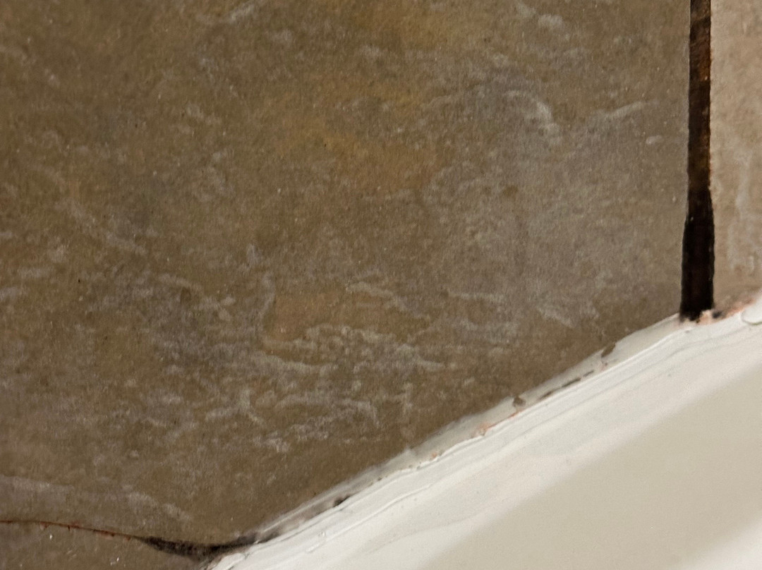 斯马龙贝斯特韦斯特普勒斯套房酒店主图