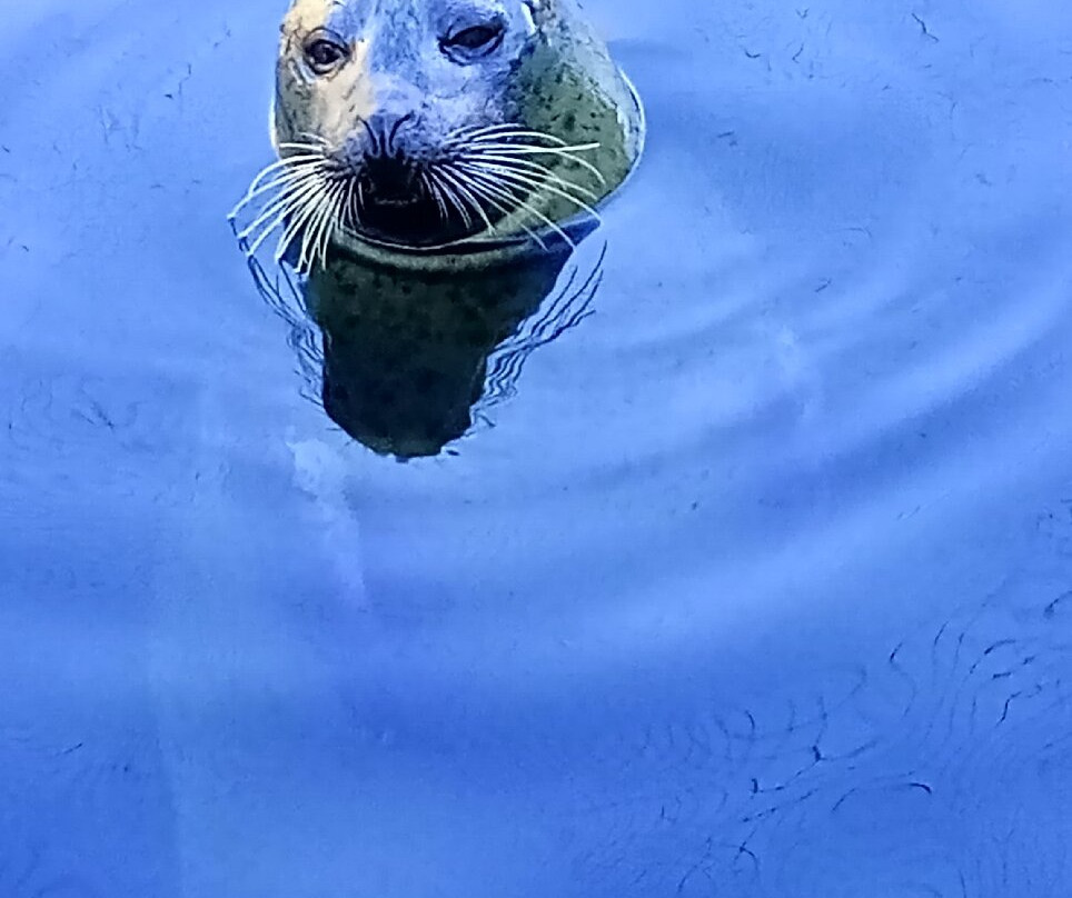Weymouth SEA LIFE Adventure Park-韦茅斯必去景点