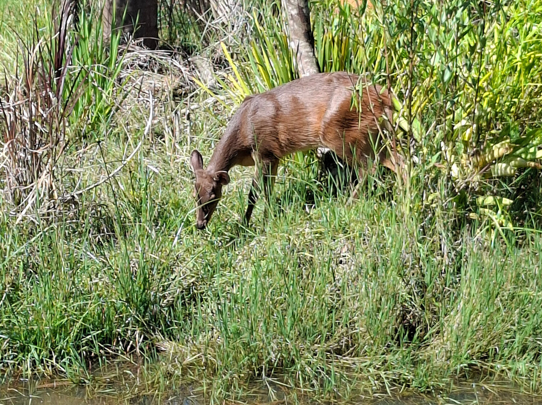 Foz Eco Park Zoo-伊瓜苏必去景点
